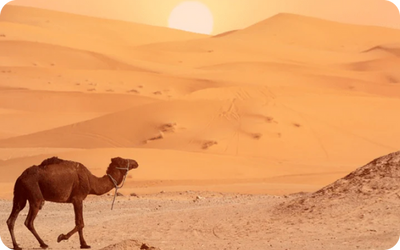 Africa 18 countries eSIM